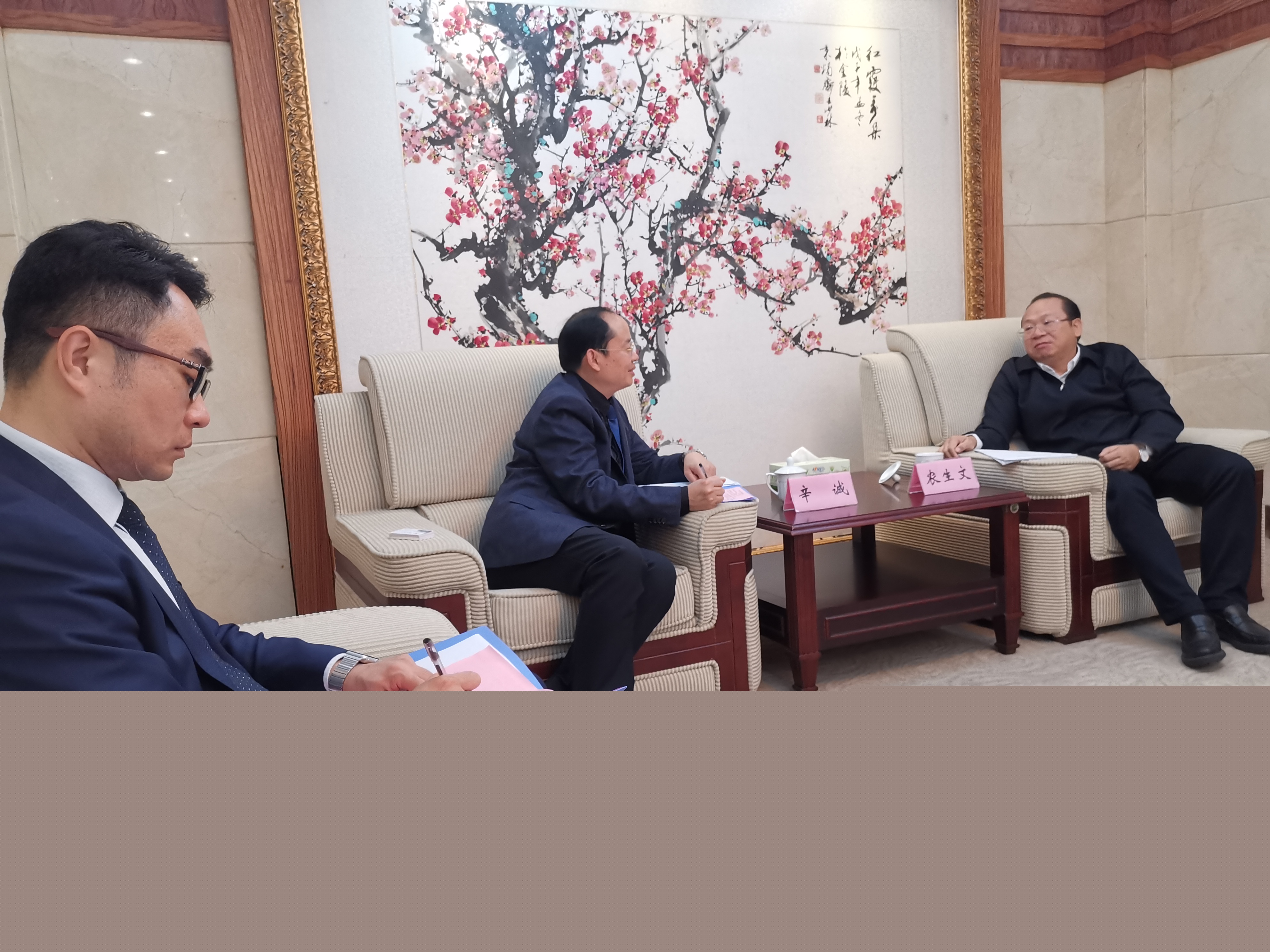 陽(yáng)光控股教育集團(tuán)高層就來(lái)賓市培文學(xué)校的發(fā)展與市委書(shū)記農(nóng)生文會(huì)談